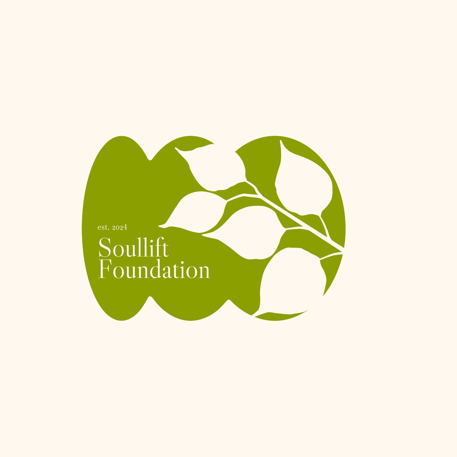 Soullift Foundation